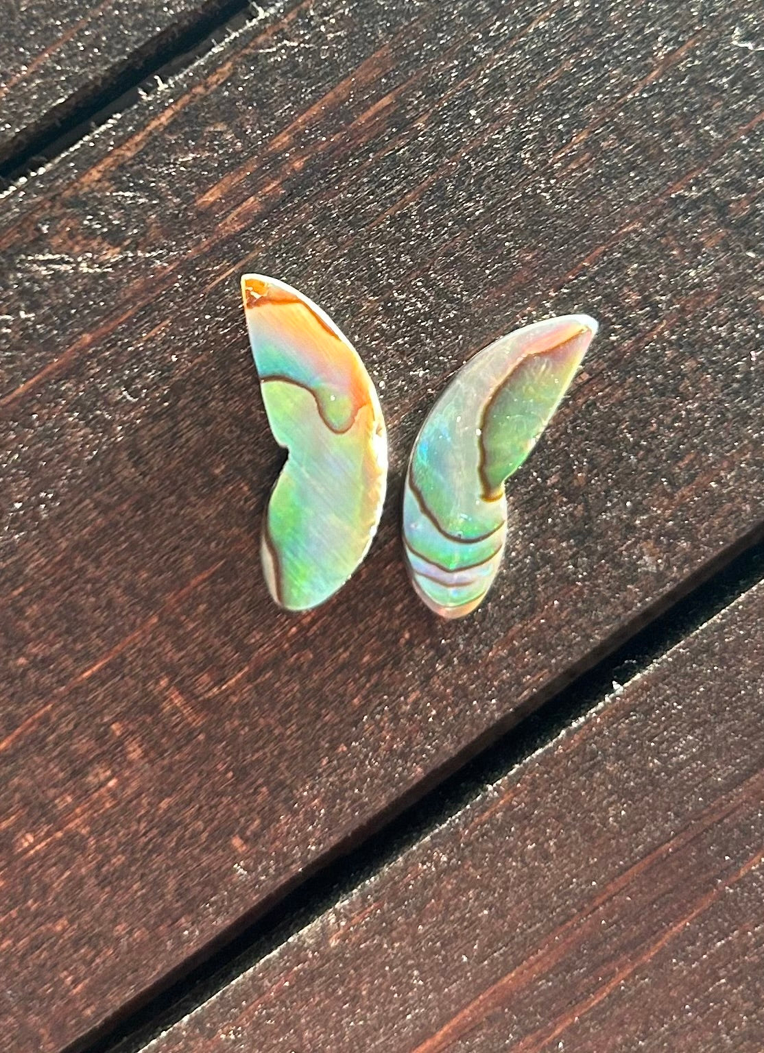 Wings of abalone #3
