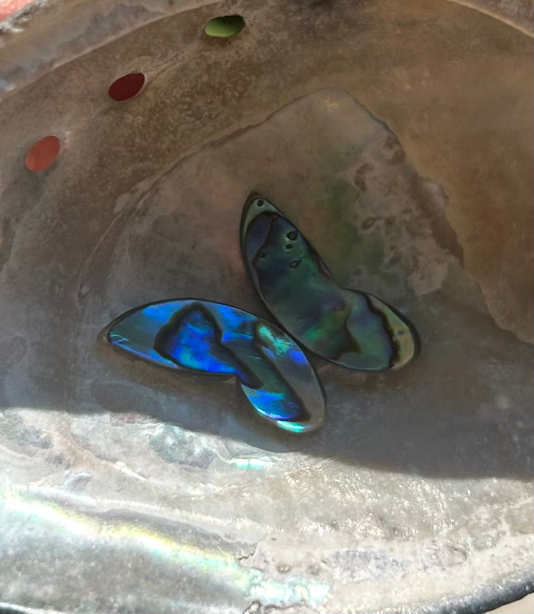 Abalone Butterfly #5