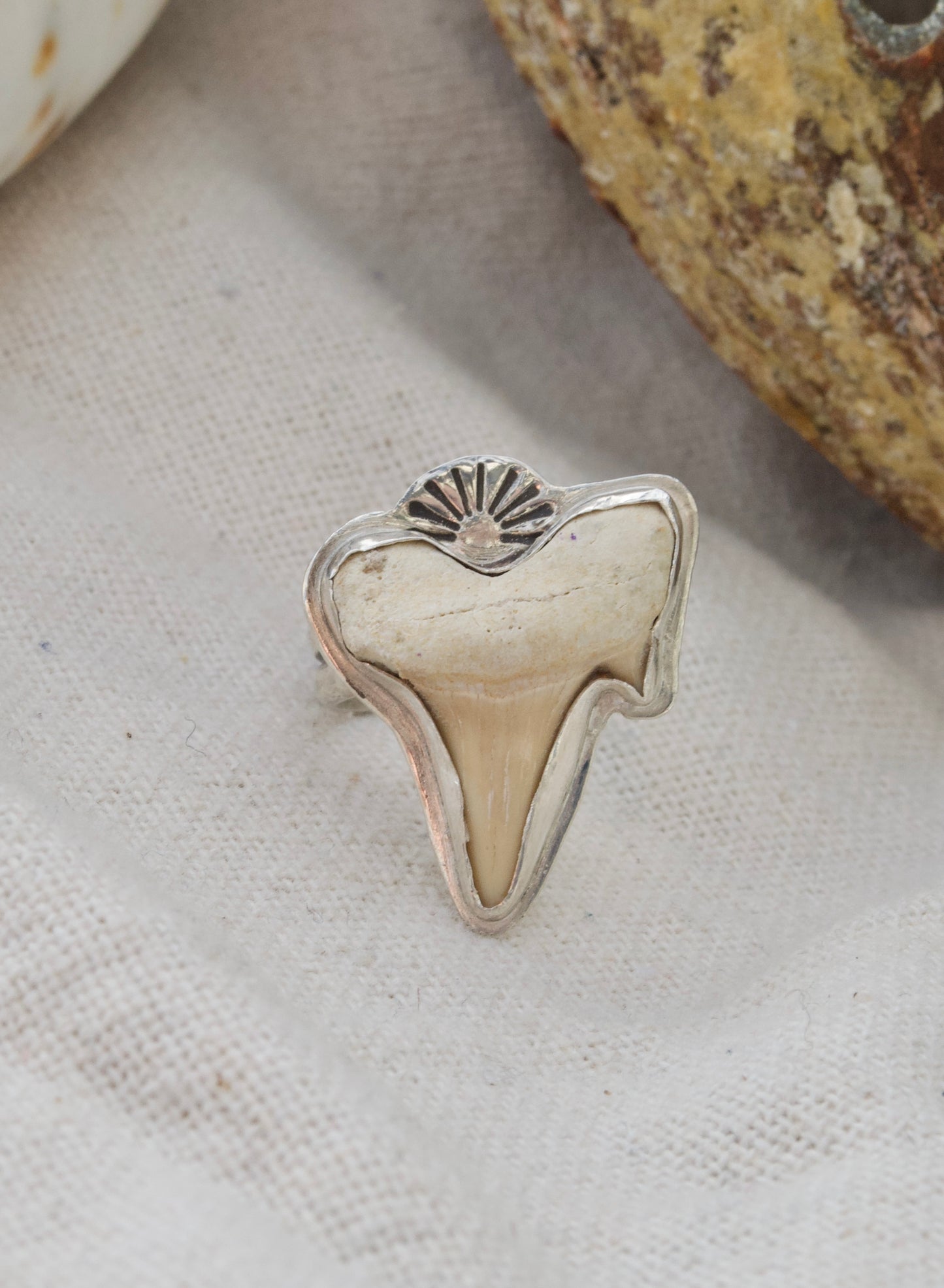 Sunrise Shark Tooth Ring