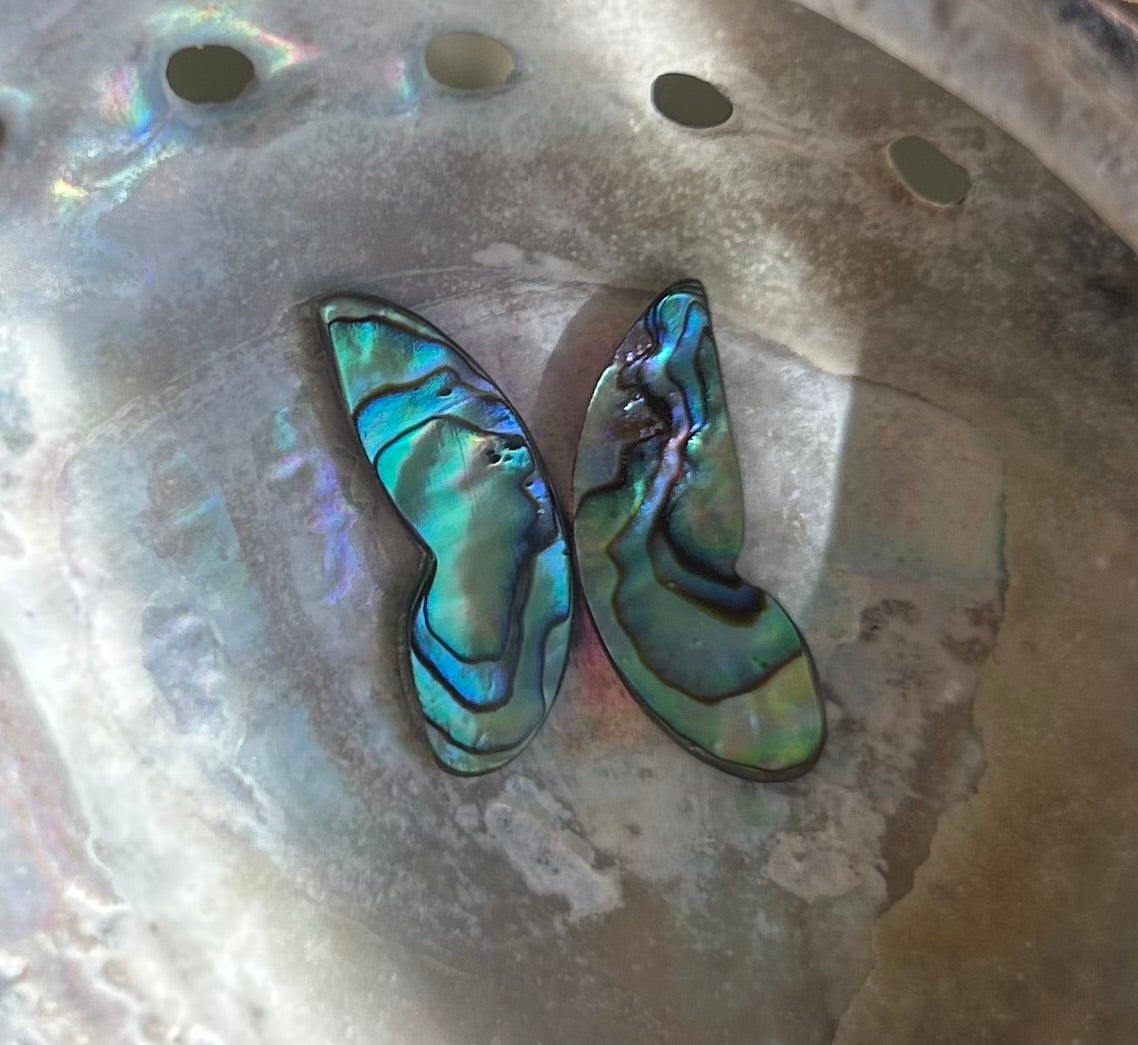 Wings of Abalone