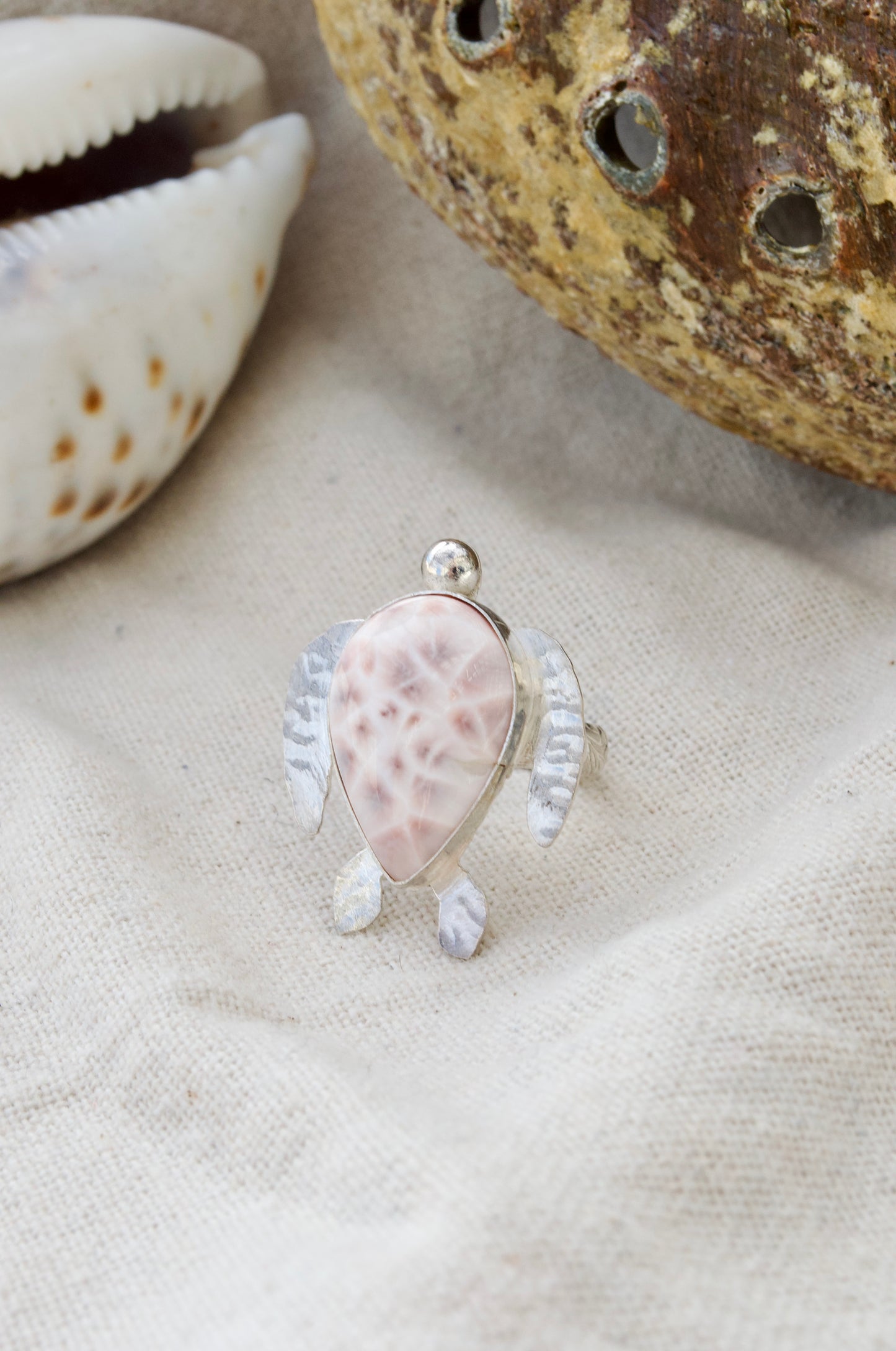 Large Sea Turtle