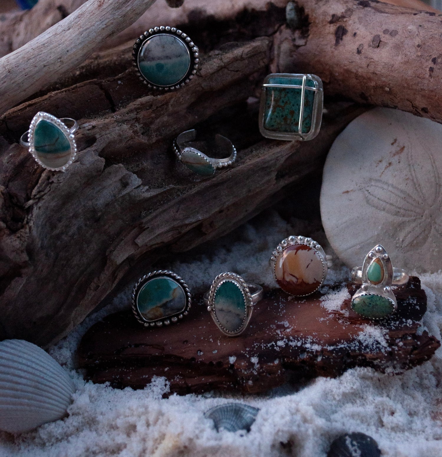 the shoreline collection