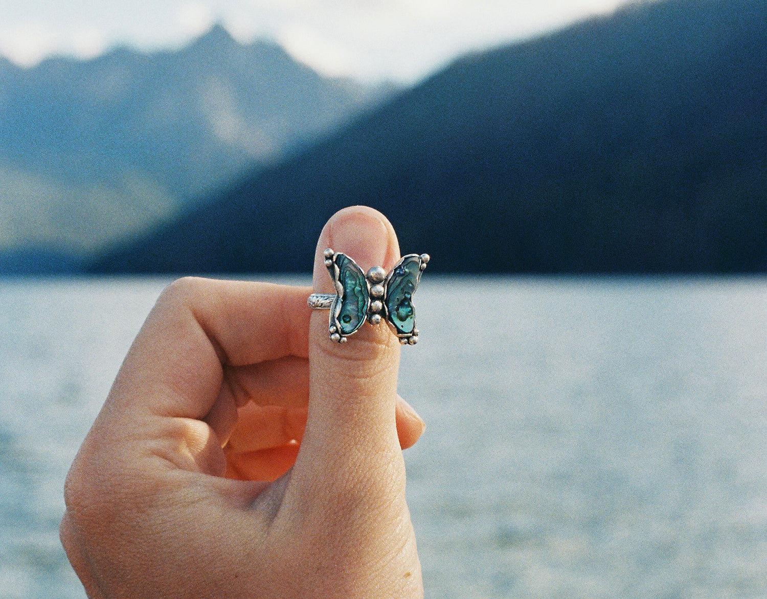 Butterflies!