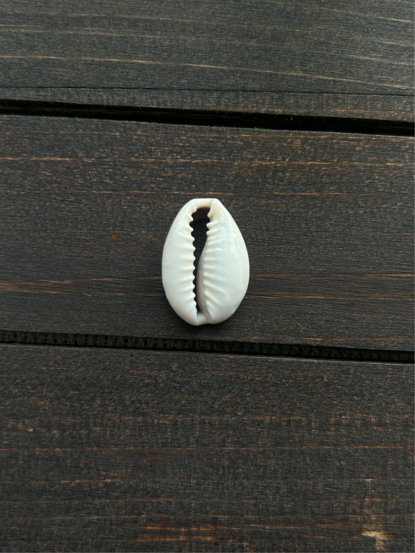 cowrie custom