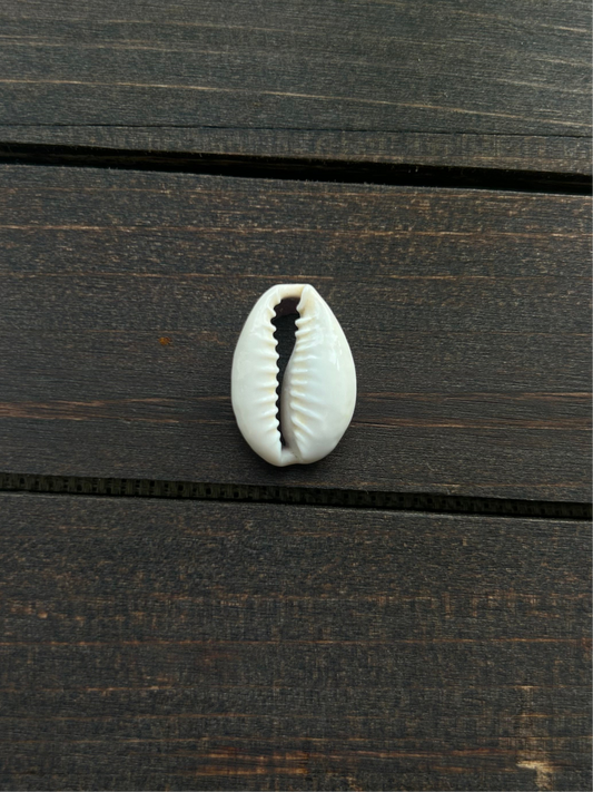 cowrie custom