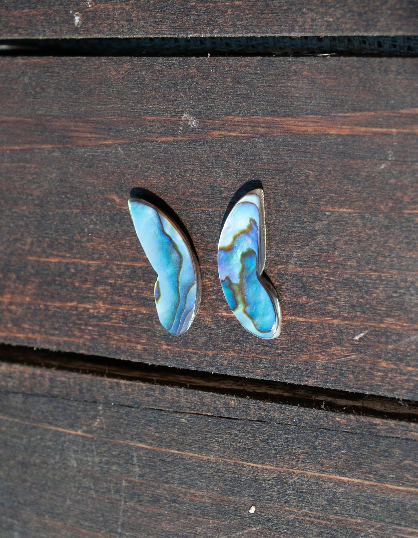 Wings of abalone #4