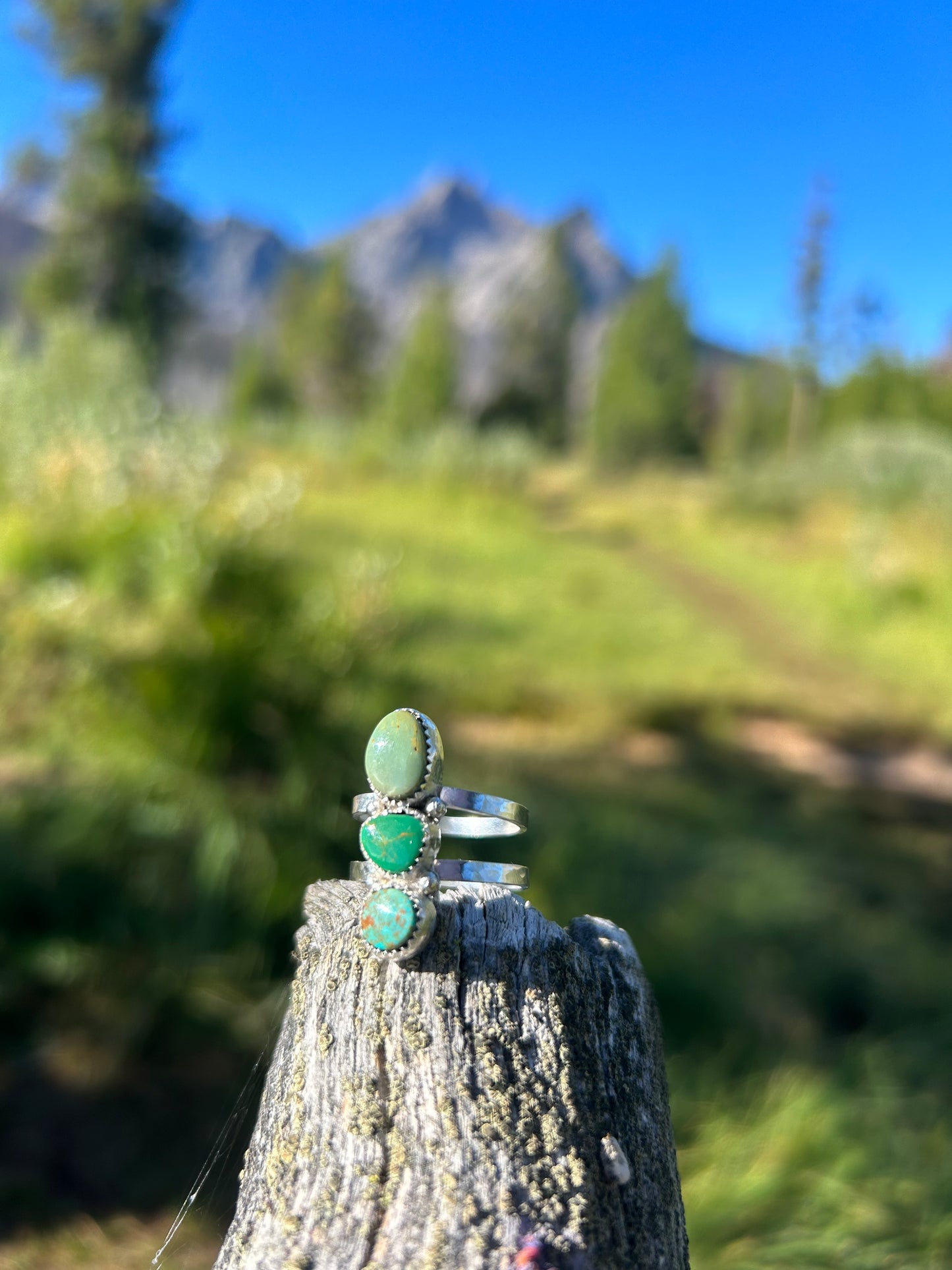 Alpine Lakes Ring