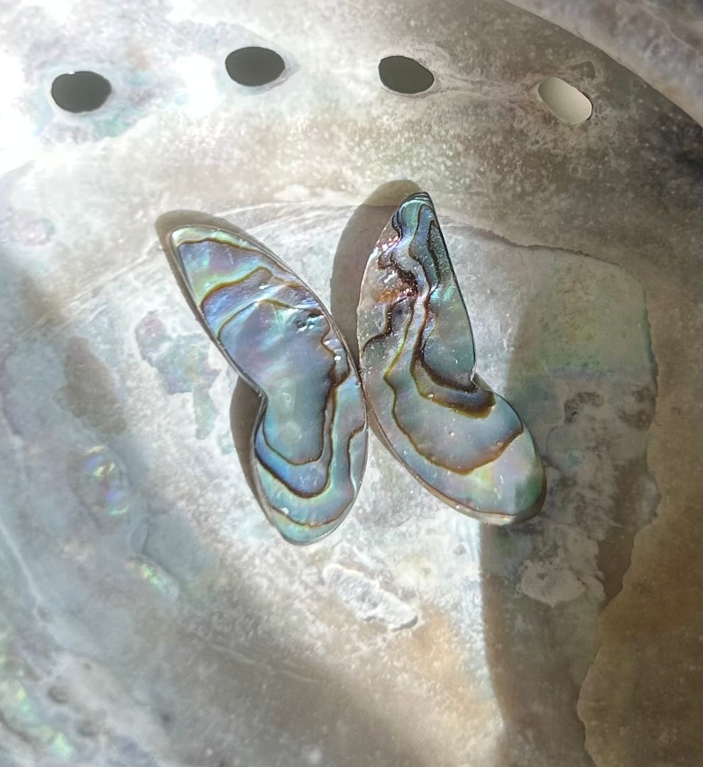 Wings of Abalone