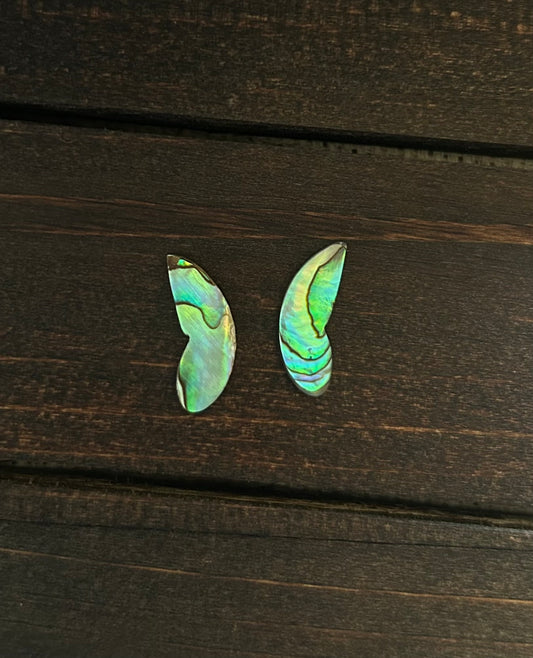 Wings of abalone #3