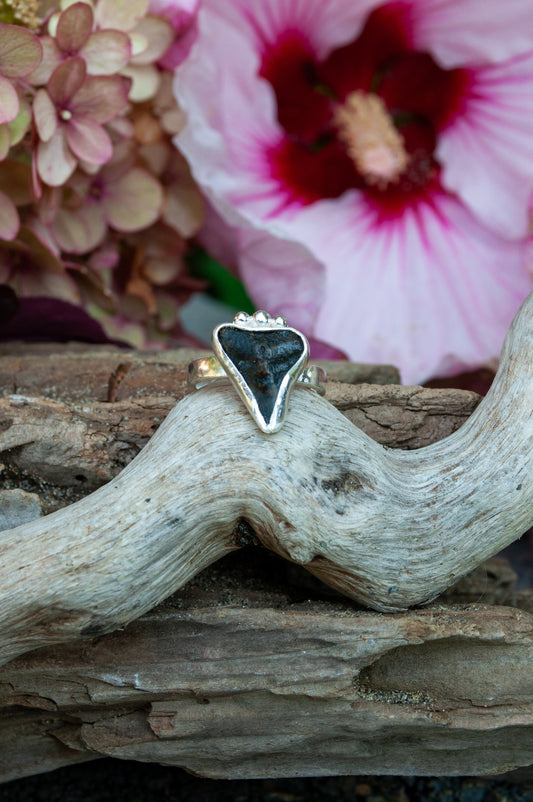 Daybreak ring