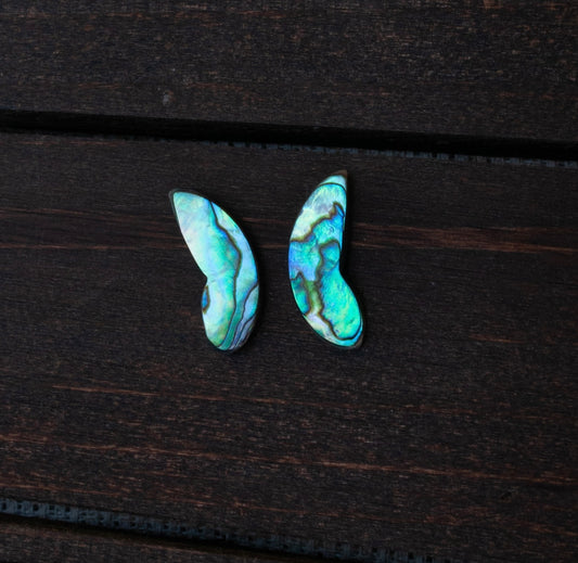 Wings of abalone #4