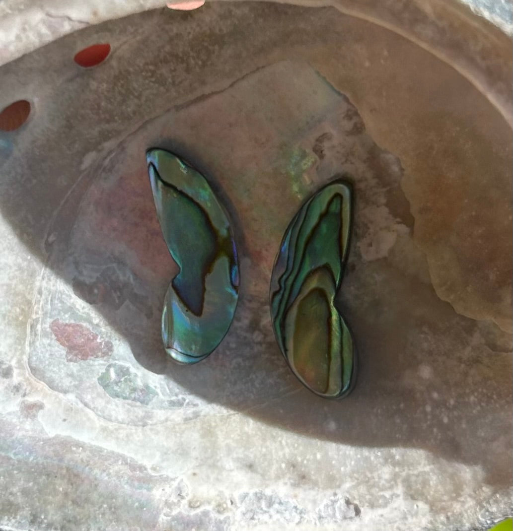 Wings of Abalone