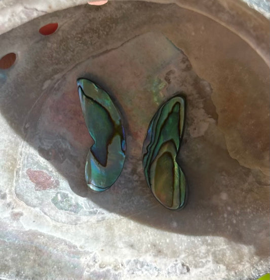 Wings of Abalone