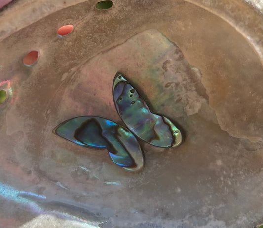 Abalone Butterfly #5