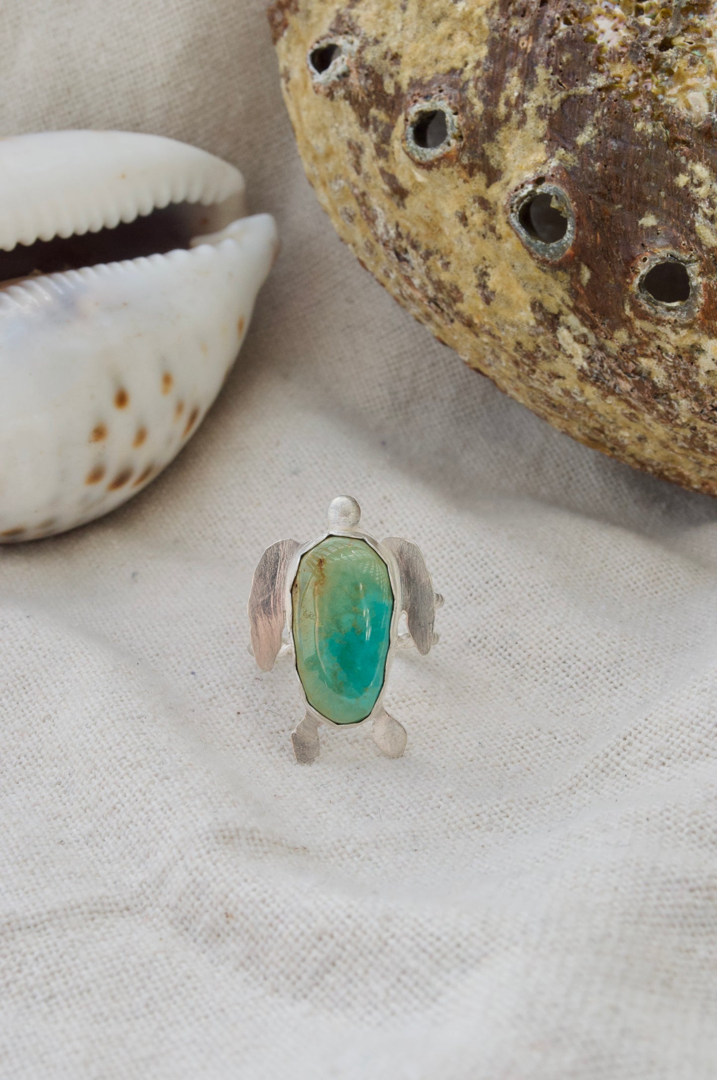 Turquoise turtle