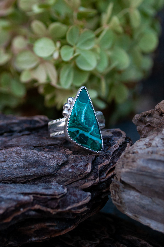 Evergreen ring