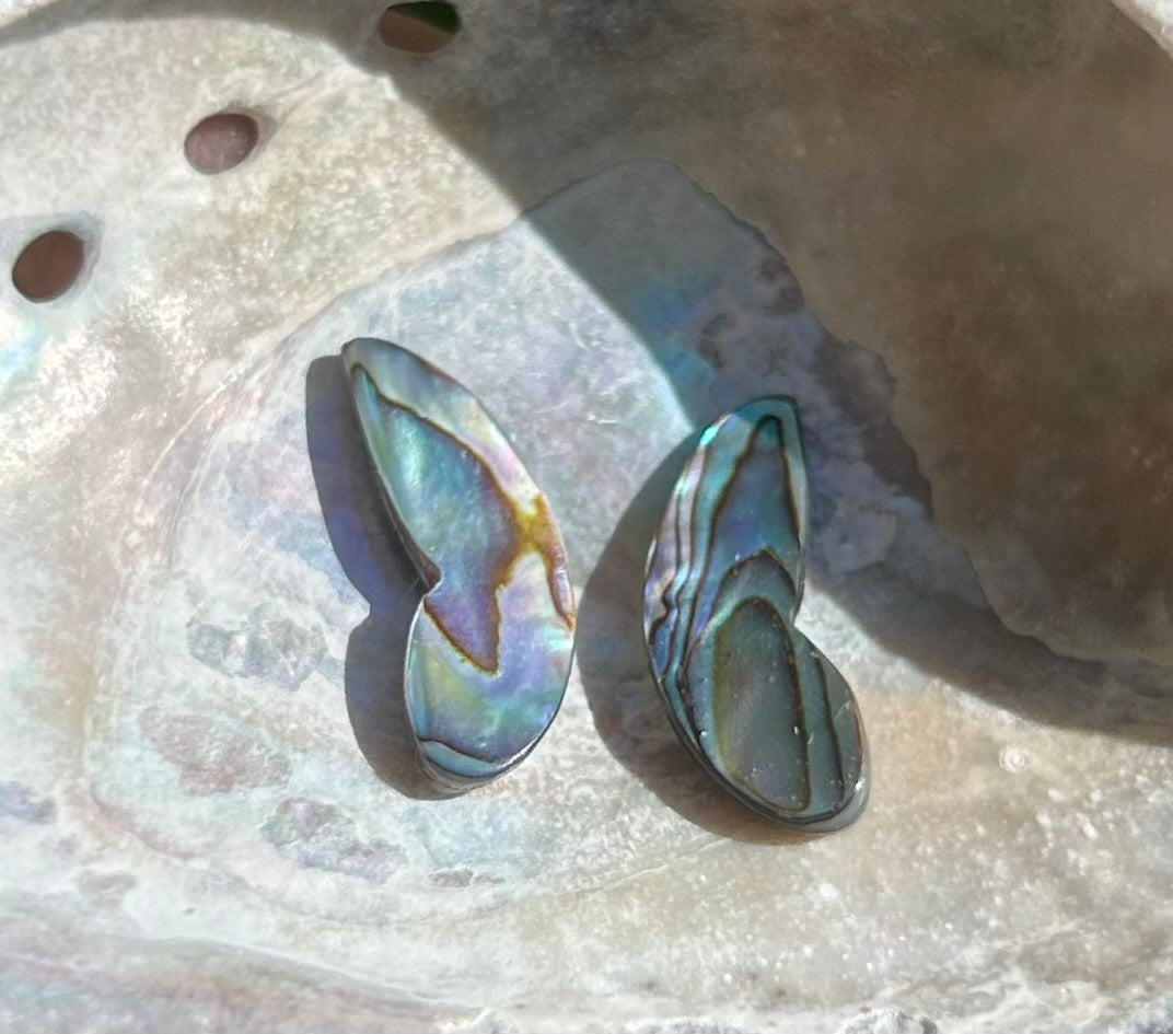 Wings of Abalone