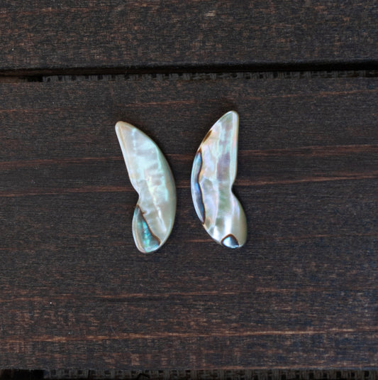 Wings of abalone #2