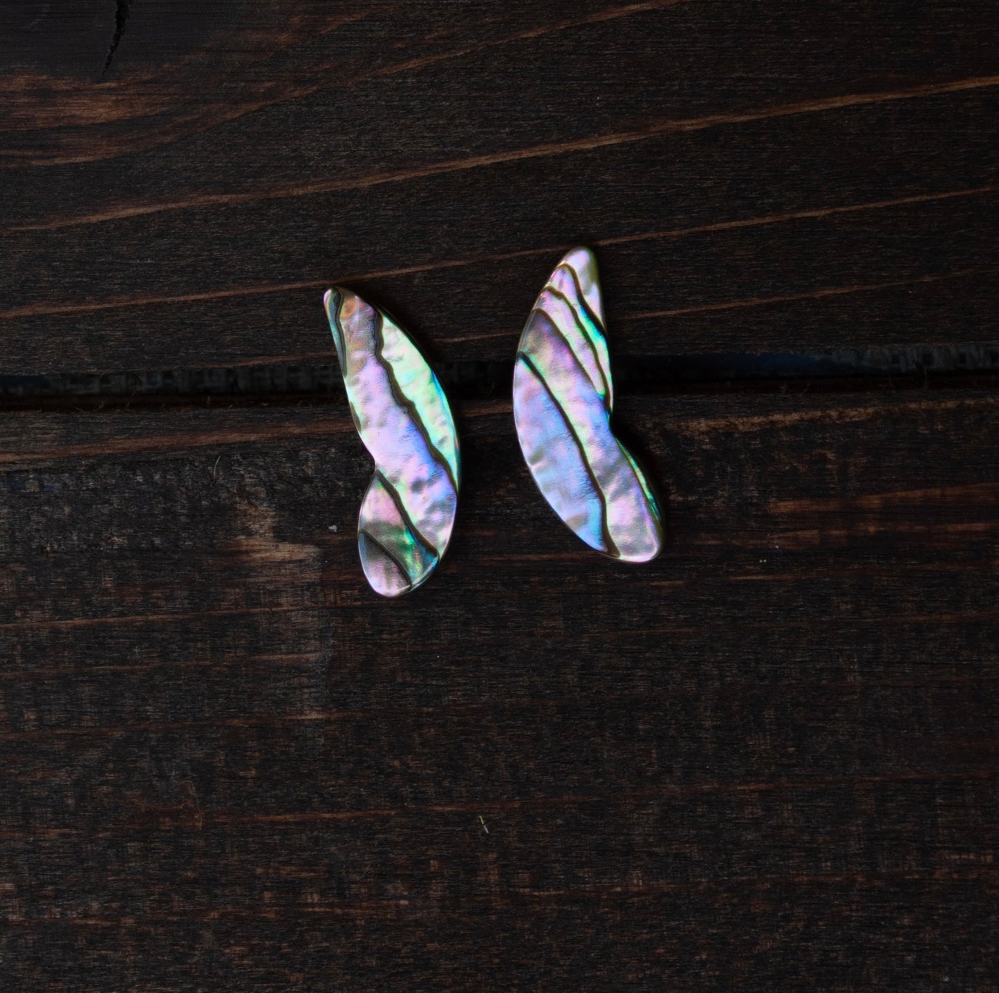 Wings of abalone #1