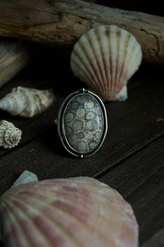 Coral reef