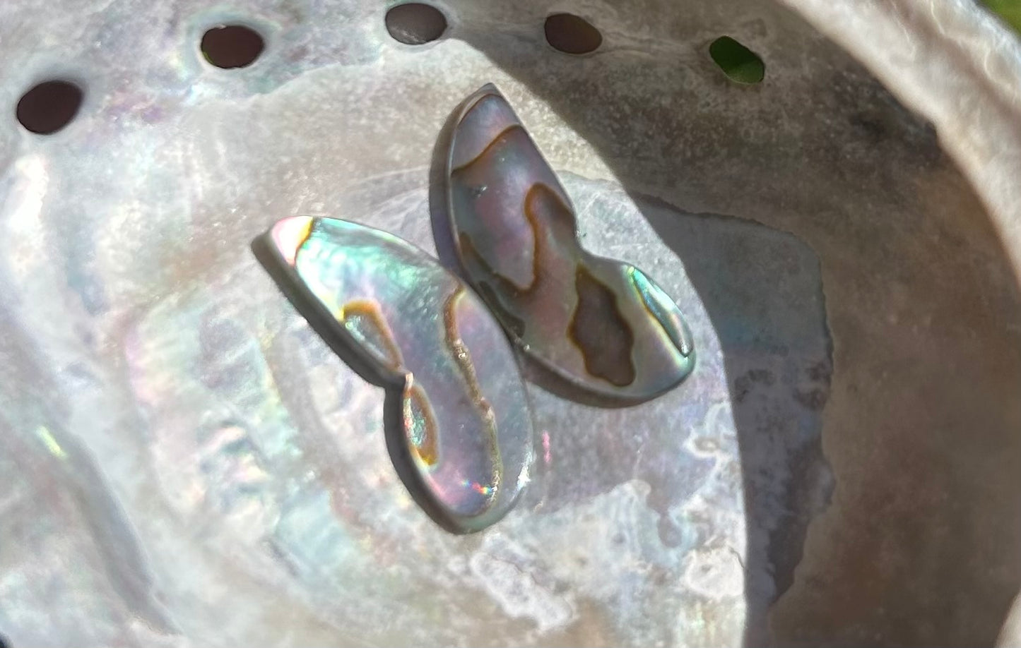Wings of Abalone