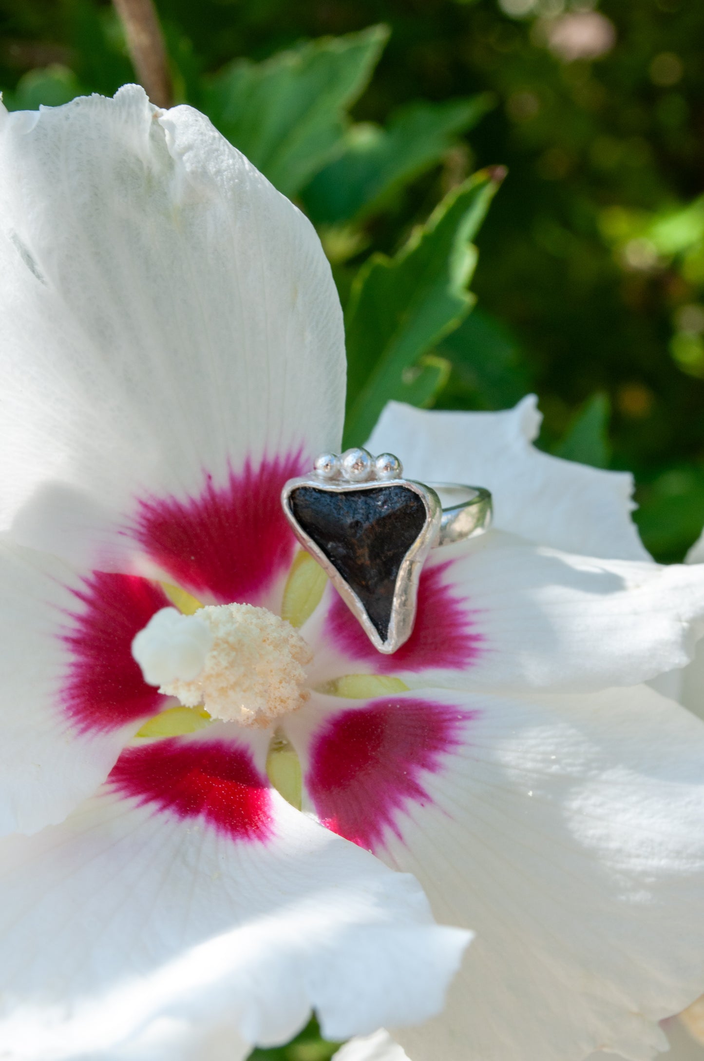 Daybreak ring