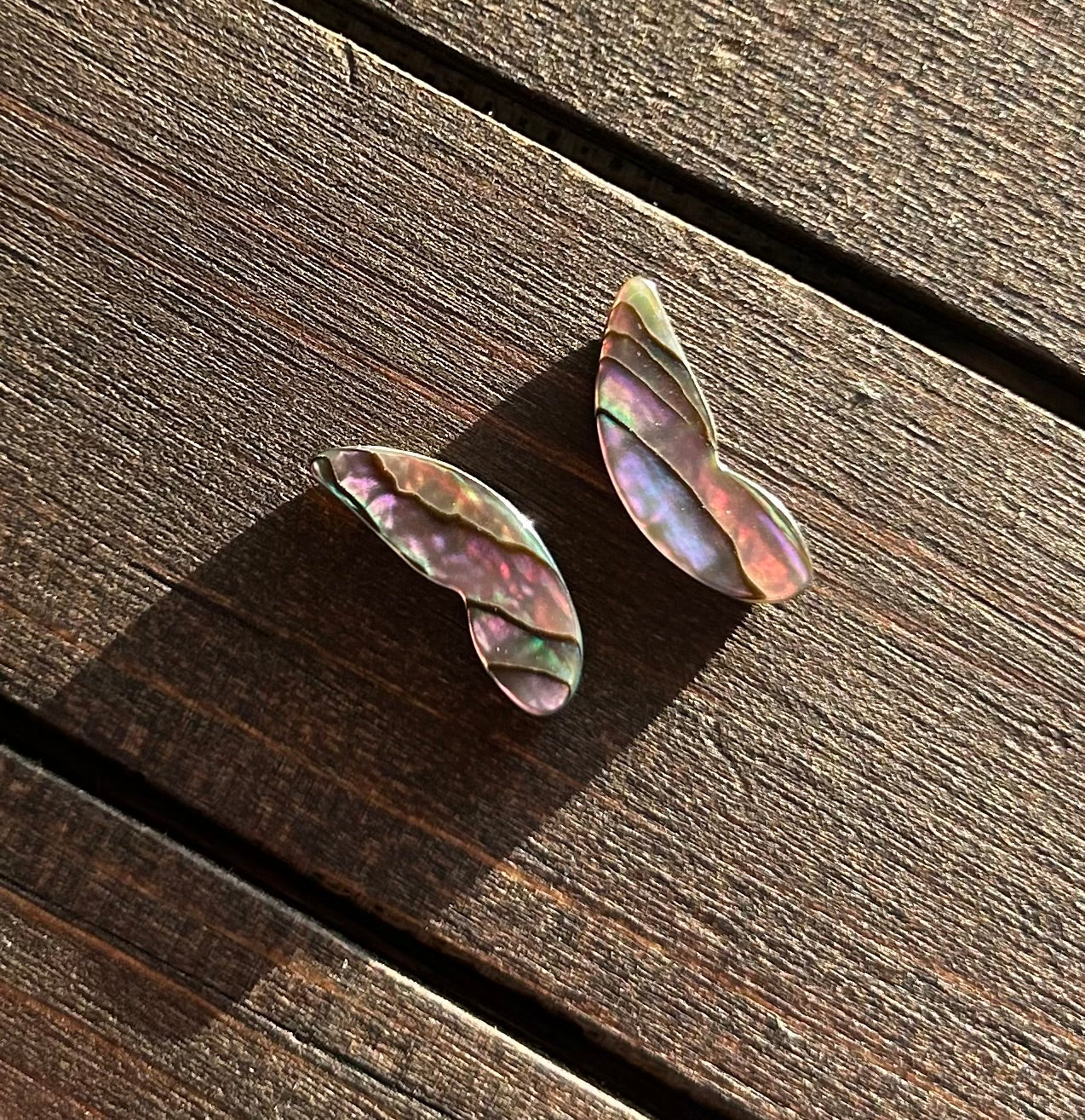 Wings of abalone #1